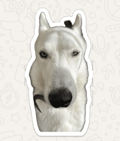 Sticker maken in WhatsApp